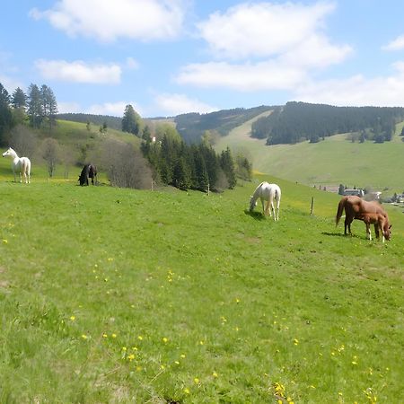 Ferienwohnung Bergahorn Todtnauberg Zewnętrze zdjęcie