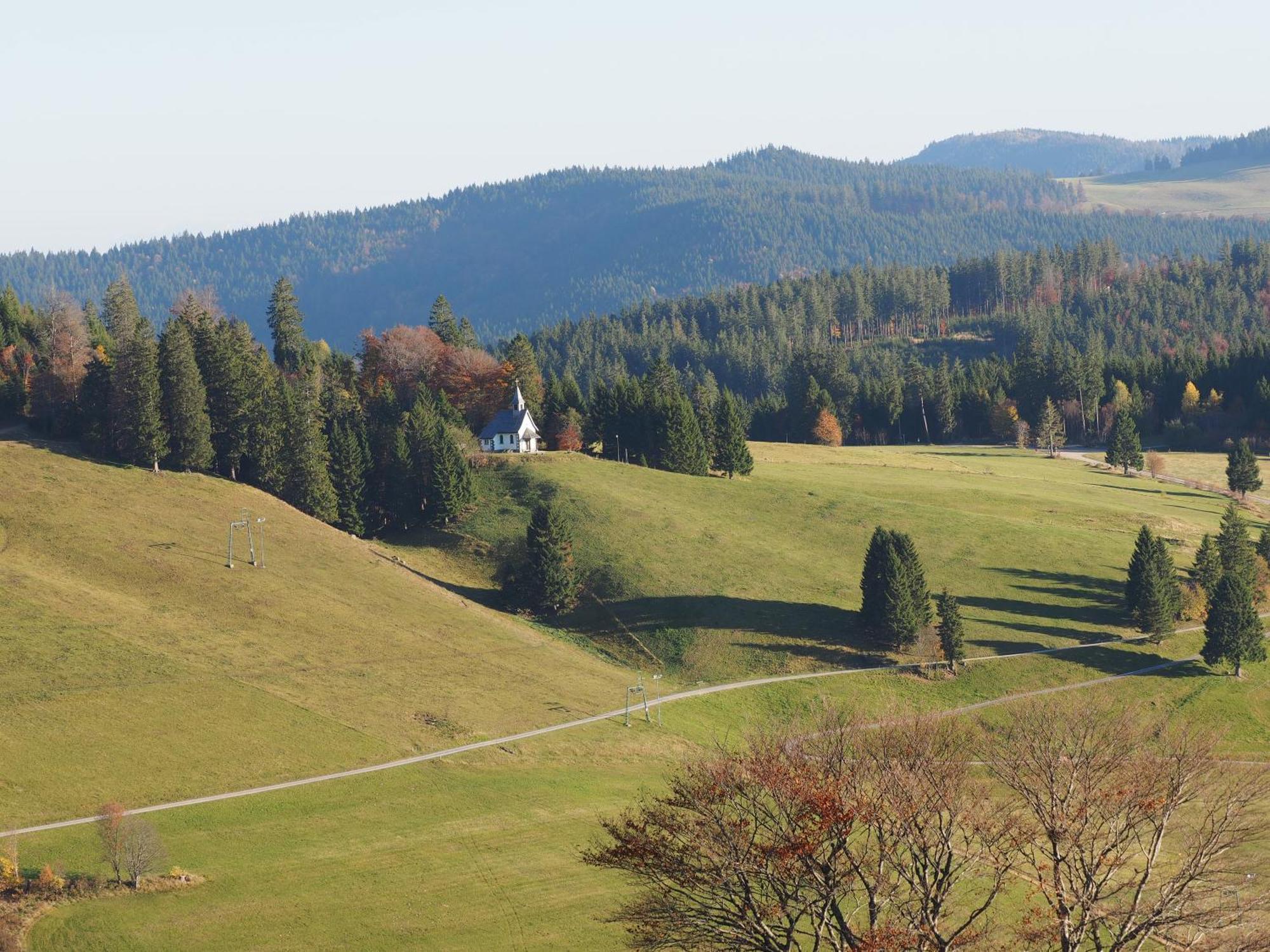 Ferienwohnung Bergahorn Todtnauberg Zewnętrze zdjęcie